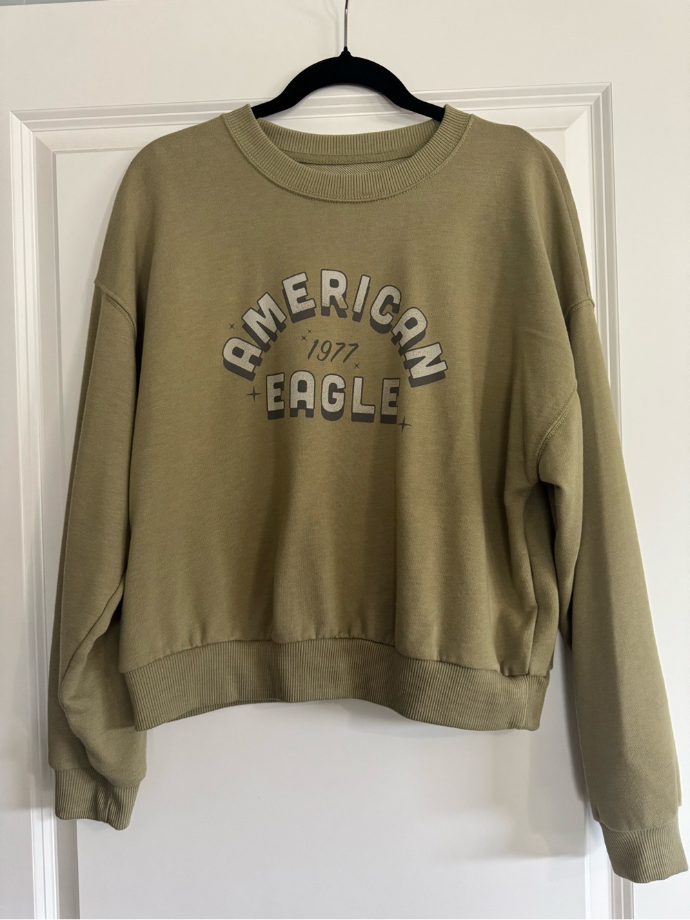 American Eagle Outfitters Olive Graphic Crewneck Sweatshirt